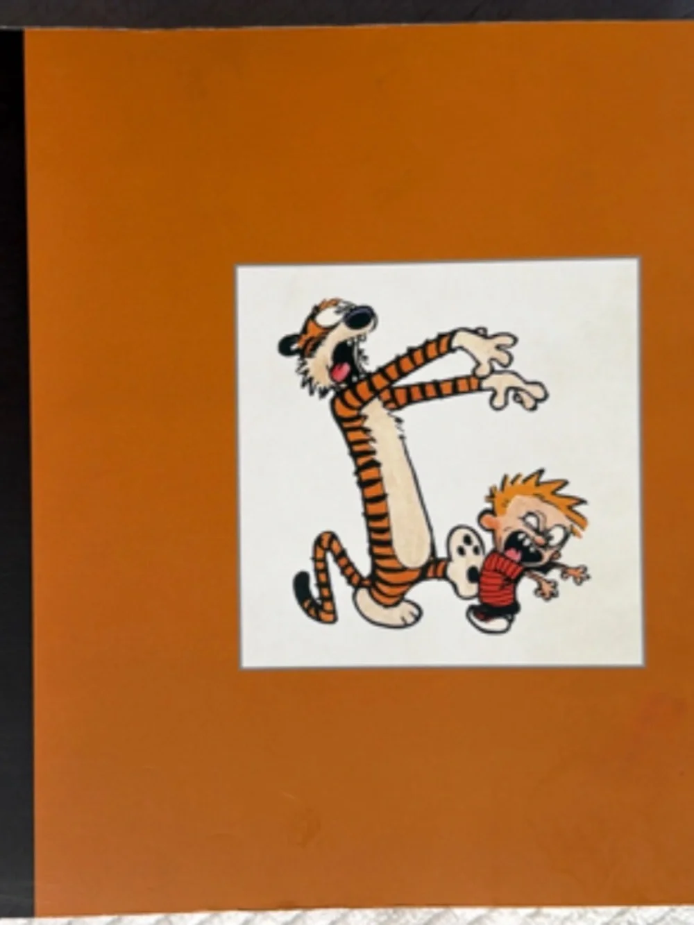 The Complete Calvin And Hobbes Paperback Collection Box Set by Bill Watterson!